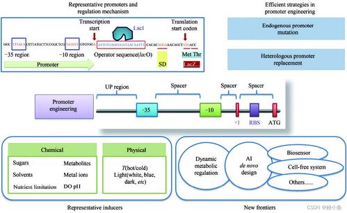 傳統(tǒng)行業(yè)與人工智能融合 材料、化學、物理、生物的發(fā)展與未來展望