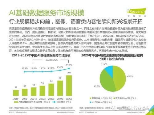 中國(guó)人工智能基礎(chǔ)軟件開發(fā)行業(yè)報(bào)告 2021 夯實(shí)智能底座，賦能產(chǎn)業(yè)變革