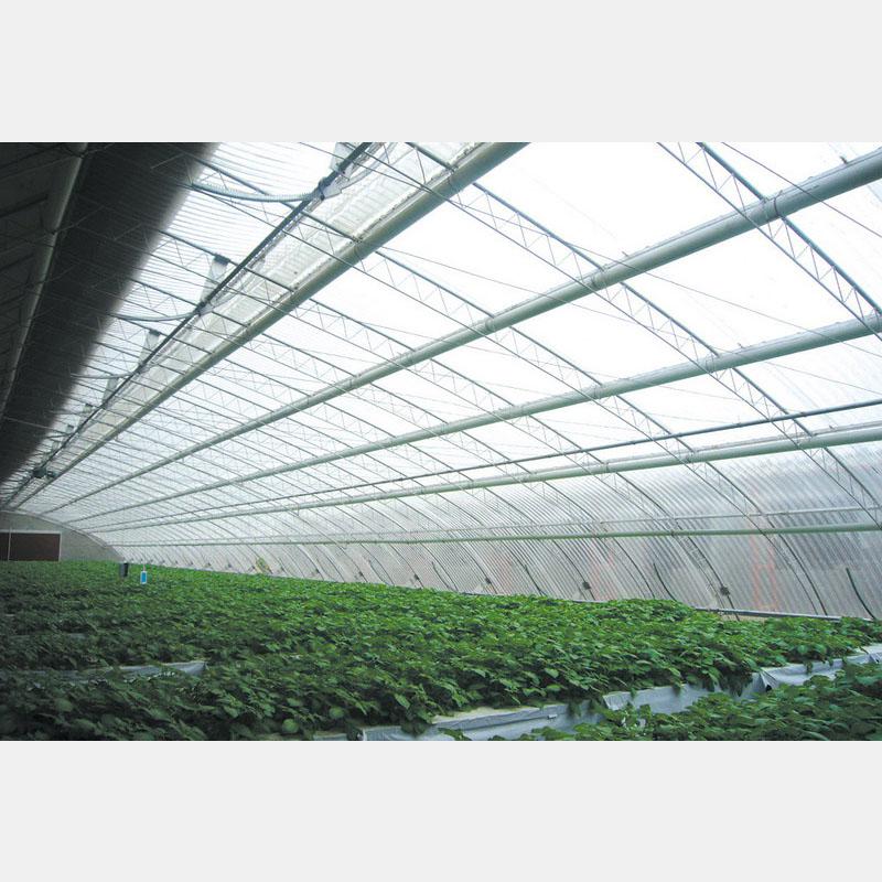 專業構筑，智慧生長 盛騰溫室引領蔬菜大棚現代化建造新風尚